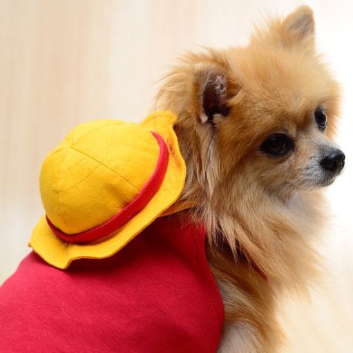 Luffy Dog Outfit One Piece Cosplay Shut Up And Take My Yen : Anime & Gaming Merchandise