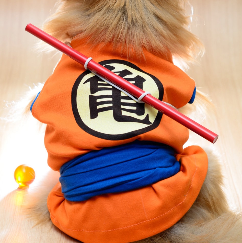 Dog Cosplay Outfits Dragon Ball Z One Piece Shut Up And Take My Yen : Anime & Gaming Merchandise