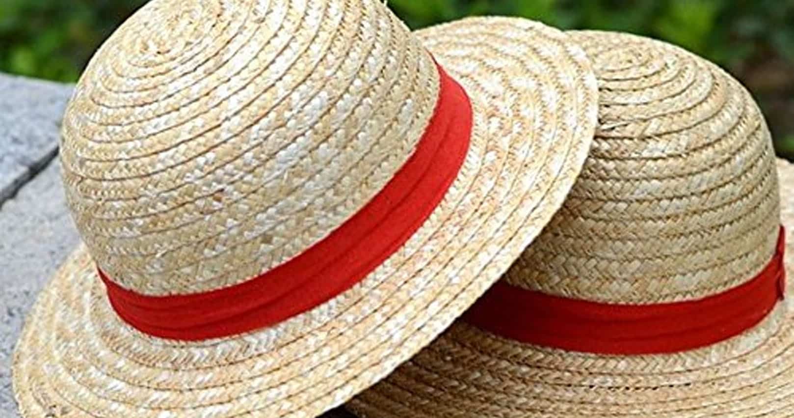 One Piece Explains The Straw Hats Plans For Luffy Vrogue