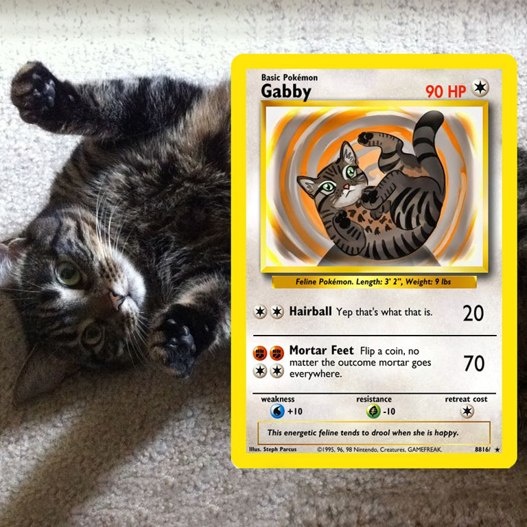 pet pokemon cards shut