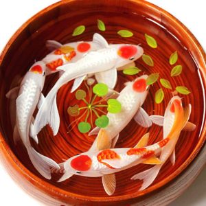 koi plush