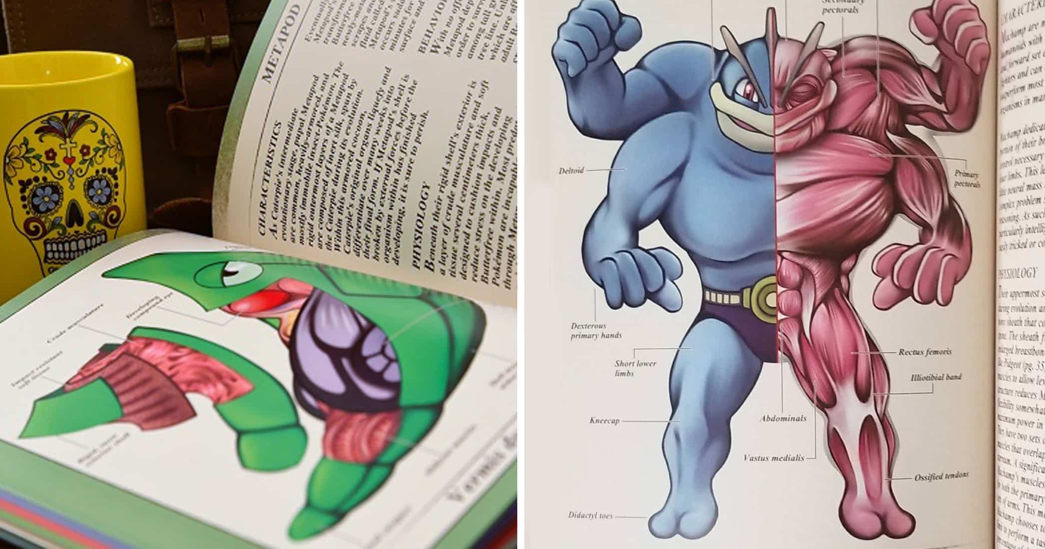 Pokemon Anatomy Book PokeNatomy Book