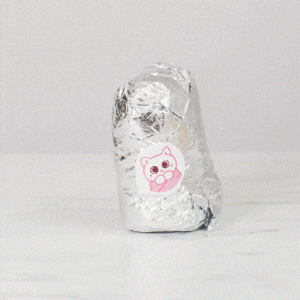 burrito cat plush