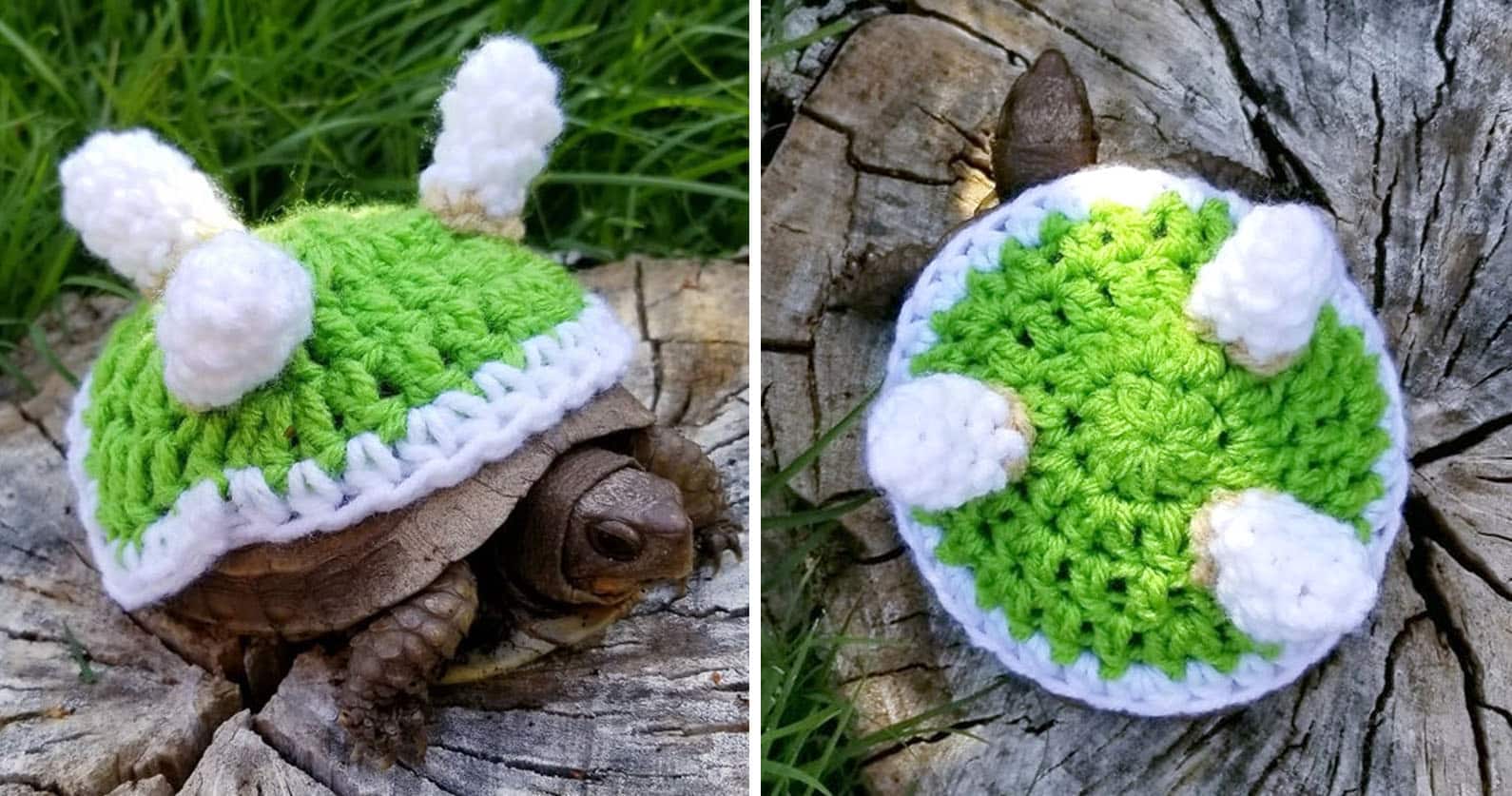 Super Mario Koopa Tortoise Outfit