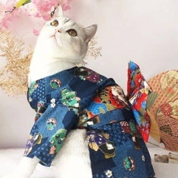 Cat Kimono