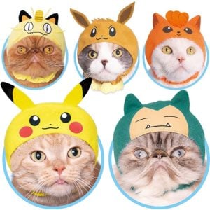 Pokemon Cat Hats