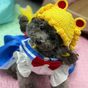 Sailor Moon Dog Costumes